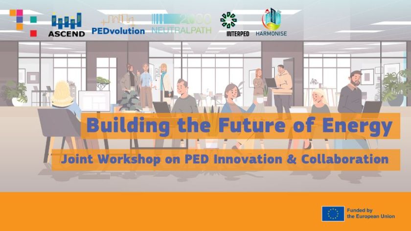 PED workshop