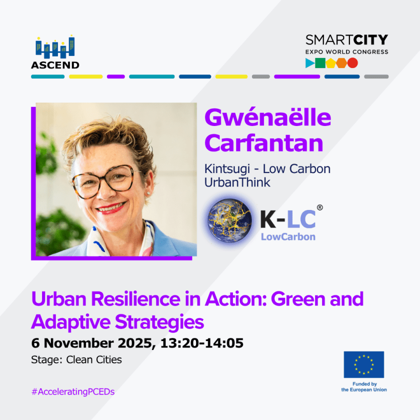 Urban Resilience in Action: Green and Adaptive Strategies