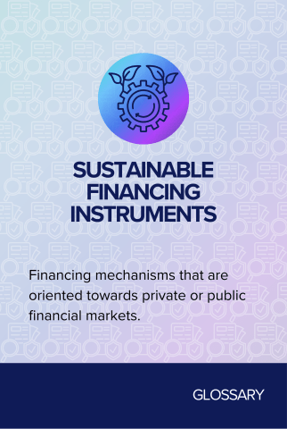 Sustainable financing instruments back card