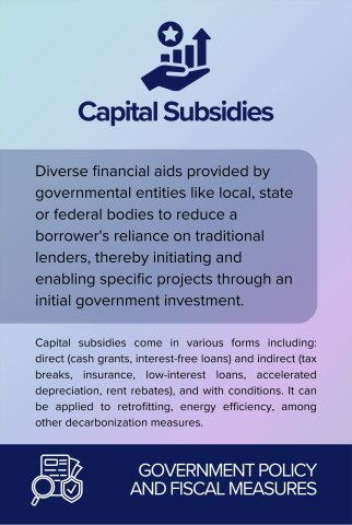 Capital Subsidies back card