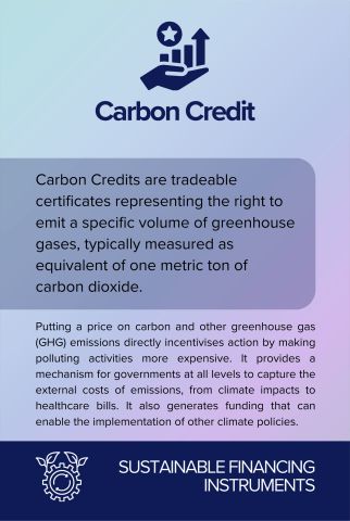 Carbon Credit back card