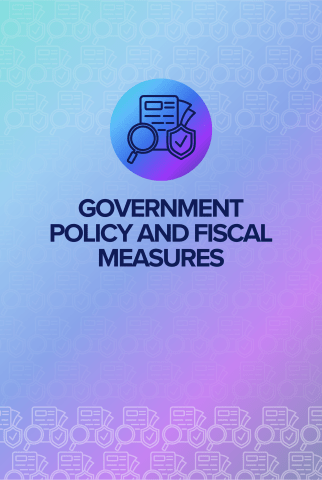 Government policy and fiscal measures front card