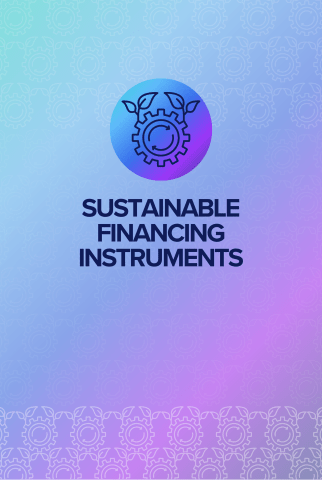 Sustainable financing instruments front card