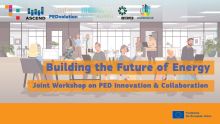 PED workshop