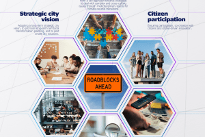 Governance challenges